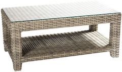 Enclover Tulip Clear/Driftwood Coffee Table