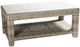 Enclover Tulip Clear/Driftwood Coffee Table-0