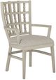 Currey & Company Norene Fog Gray Dining Armchair-0