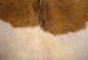 LH Home Coachella Rio Cool Brown/Mindi Oak Armchair with Leather and Goat Hair-5