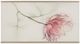 Hooker® Furniture Susan G. Komen Glass Top Blossoming Hope Writing Desk with Gold Base-3