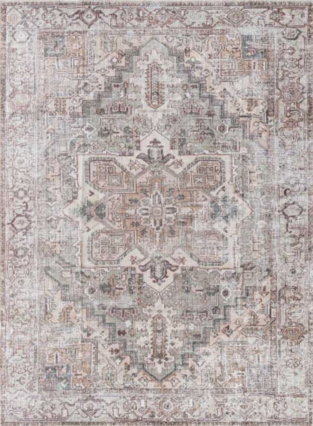 Surya Embrace Brown 4'x6' Area Rug-0