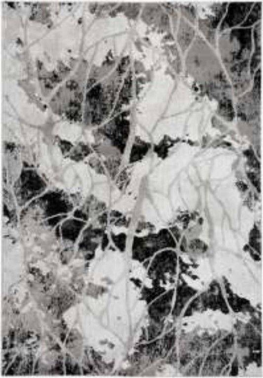 Midas Accents 10789 Florence 5"x8" Area Rug-0