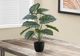 Monarch Specialties Inc. Green/Black 24" Artificial Potted Calathea-3