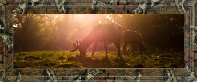 Classy Art Morning Haze by Joe Reynolds Framed Wall Art-0