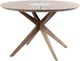 Armen Living Oasis Outdoor Light Eucalyptus Dining Table-0