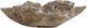 Dovetail Furniture Orvan Natural Bowl-2
