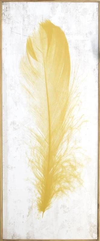 Classy Art Yellow Feather Wall Art-0