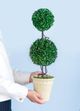 A & B Home Green Faux Boxwood Sphere Topiary in Cream Pot-2