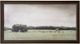 Stylecraft Cow Prarie Gray/Green/Light Green Wall Art-0