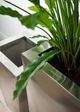 Le Present Satino Classic Stainless Steel 28" Planter-4