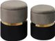 TOV Furniture Gigi Grey Set of 2 Storage Ottomans-1