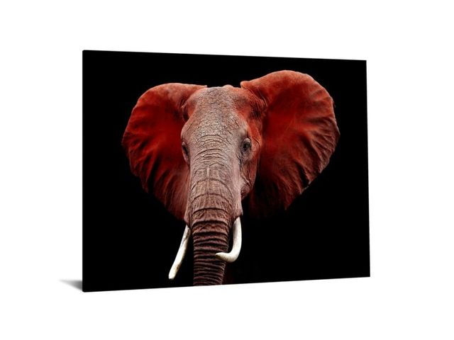 Classy Art Red 40 x 60 Floating Tempered Glass with Foil-1