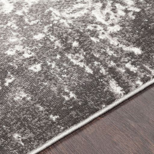 Surya Monte Carlo Light Gray 4'x6' Area Rug-2