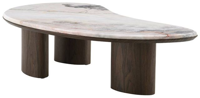 ACME Furniture Hanale Natural Marble Top Coffee Table with Brown Legs-0