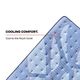 Sealy® Posturepedic® Pro Indianapolis 14" Wrapped Coil Firm Tight Top Split California King Mattress-4