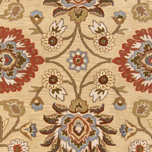 Surya Caesar Beige Multi 8'x11' Area Rug-1
