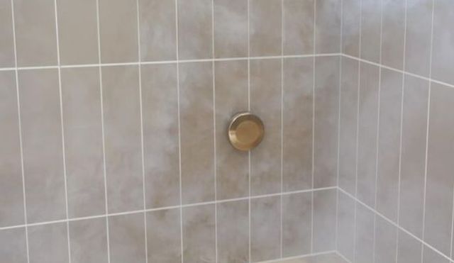 Delta SteamScape™ Classic System Lumicoat® Champagne Bronze Round Steam Package-4