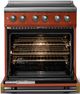 Viking® 5 Series 30" Spiced Cider Pro Style Induction Range with Brushed Brass Trim-1