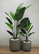 Le Present Traveller’s Green 47" Faux Botanical Palm-5