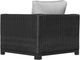 Enclover Trillium Black/Granite Club Chair-3