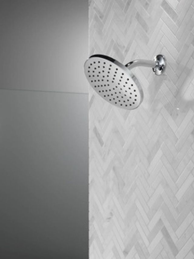 Peerless Universal Showering Components Chrome 1-Setting Shower Head with Full Body Spray-2