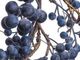 A & B Home Blue Dia Blue Berry Wreath-2