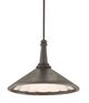 Currey & Company Manuscript Mole Black/Antique Mirror Large Pendant-0