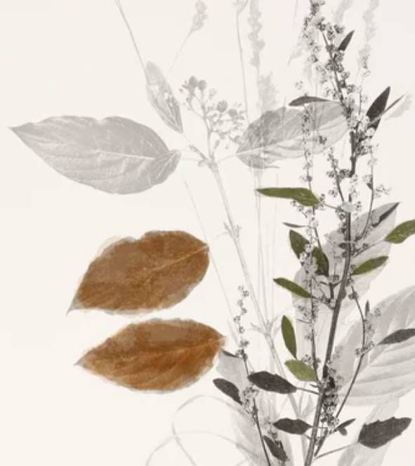 StyleCraft Wild Foliage Black/Brown/Light Gray Simple Wall Art-1
