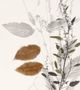 StyleCraft Wild Foliage Black/Brown/Light Gray Simple Wall Art-1