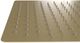 ZLINE Bliss Champagne Bronze 16" Shower Head-2