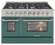Kucht Professional KNG Series 48" Stainless Steel Pro Style Natural Gas Range with Green Door-0