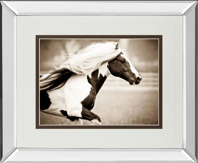 Classy Art Gypsies Pride by Carol Walker Mirror Framed Wall Art-0
