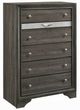 ACME Furniture Naima Gray Chest-0