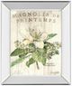 Classy Living Sue Schlabach Magnolia De Printemps 22" Wall Art-0