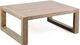 Armen Living Paradise Light Eucalyptus Outdoor Coffee Table-0