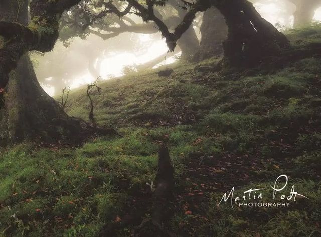 Classy Art Tentacles by Martin Podt Wall Art-1
