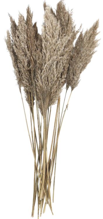 Deco Marche Brown Dried Plant Pampas Grass Natural Foliage with Long Stems-0
