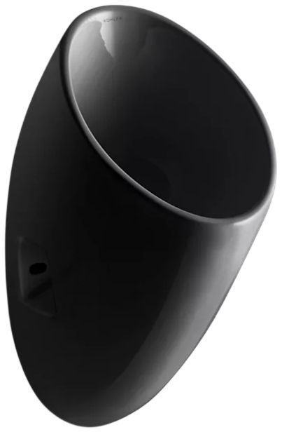KOHLER® Steward® Black Half-Stall Waterless Urinal-0