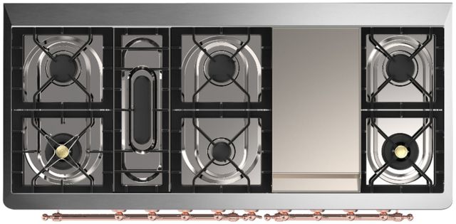 Ilve® Majestic III 60" Blue Gray Pro Style Dual Fuel Natural Gas Range with Solid Door and Copper Trim-3