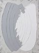 StyleCraft Handpaint Canvas Wall Art-1