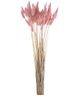 A & B Home Blush Dried Natural Bunny Tail Bundle-0