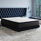 Primo™ International Polar Cloud Nuovo 10" Hybrid Medium Firm Pillow Top Queen Mattress in a Box-2