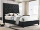 Crown Mark Chantilly Black Queen Upholstered Panel Bed-0