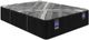 Spring Air® Back Supporter Francesca 13.5" Hybrid Medium Tight Top Twin Mattress-0