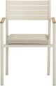 TOV Furniture Sardinia 2-Piece Cream Aluminum/Fabric/Wooden Outdoor Dining Chair Set-4