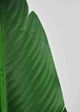 Le Present Traveller’s Green 70.5" Faux Botanical Palm-3