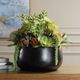 Uttermost® Mico Black/Green Succulent Centerpiece-2