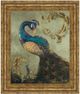 Classy Living Tiffany Hakimipour Peacock On Sage Il 22' Wall Art-0