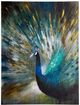 YHD Peacock Prowess Wall Art-0